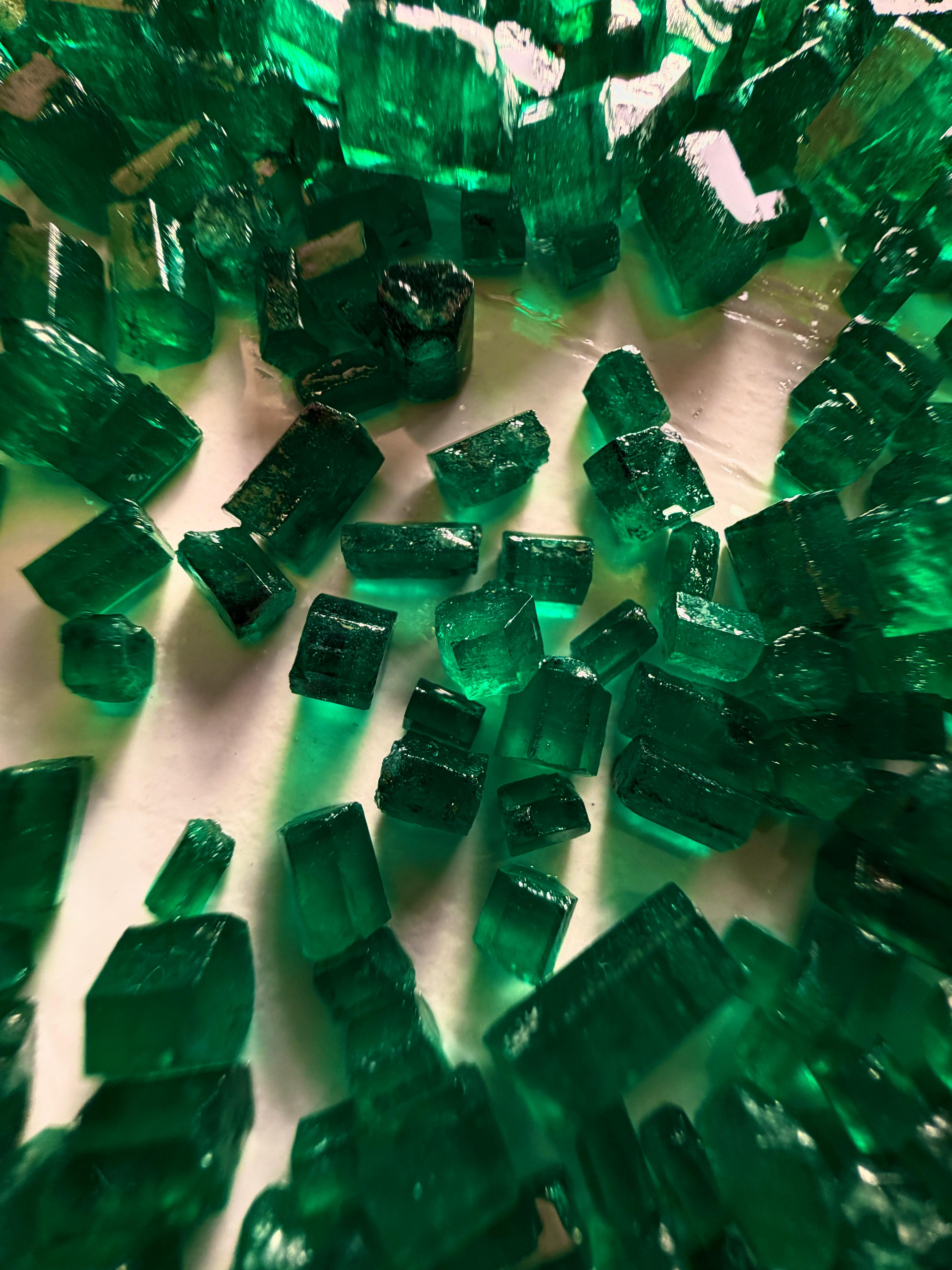 Swat Glow